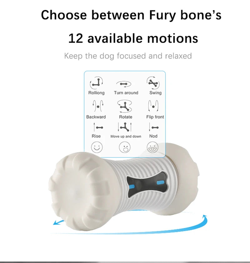 Interactive Smart Dog