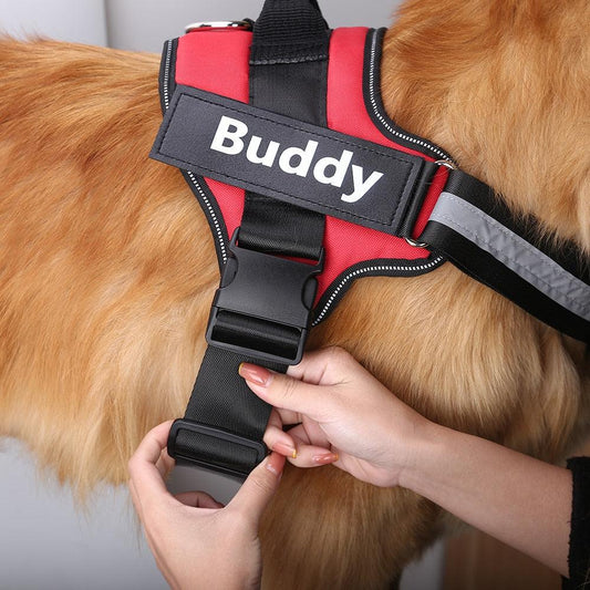 Personalized Reflective Dog Harness