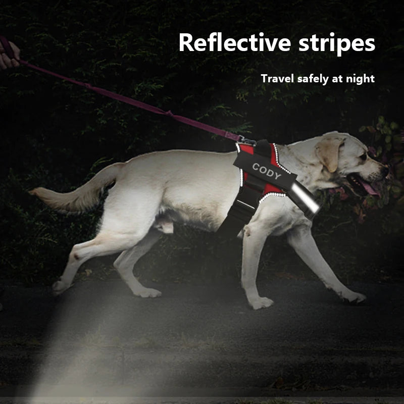 Personalized Reflective Dog Harness