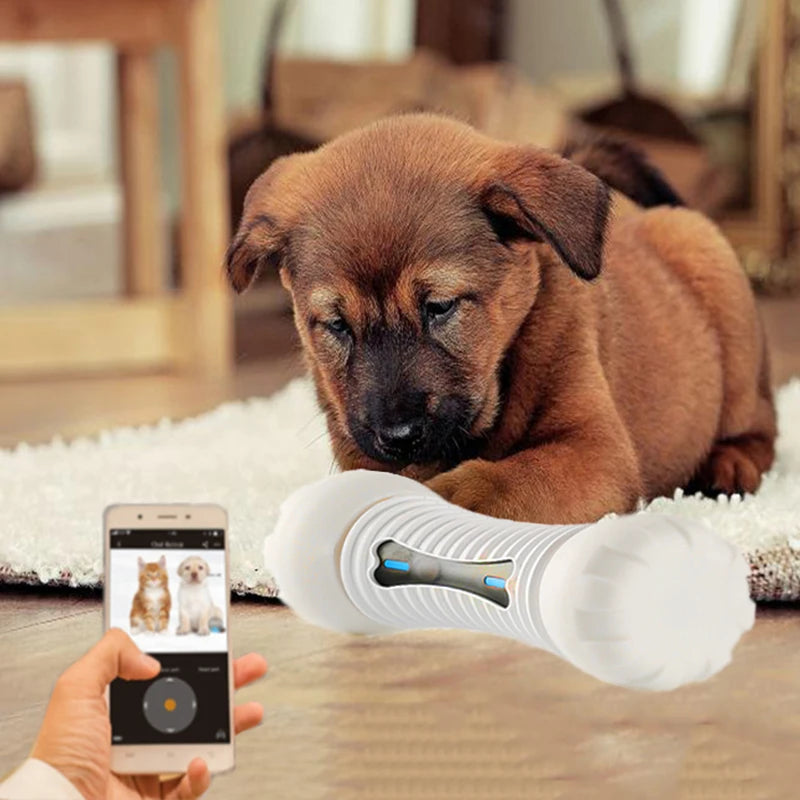 Interactive Smart Dog