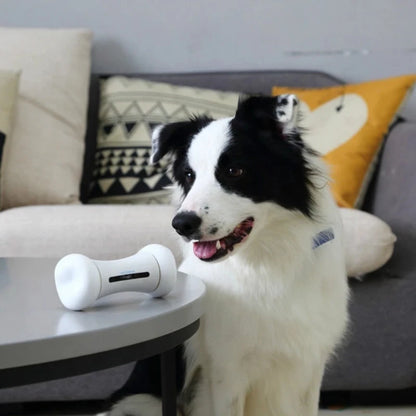 Smart Bone Interactive Dog Toy