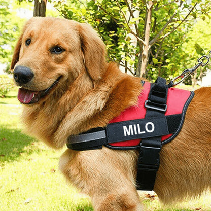 Personalized Reflective Dog Harness