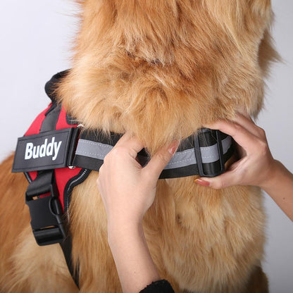 Personalized Reflective Dog Harness